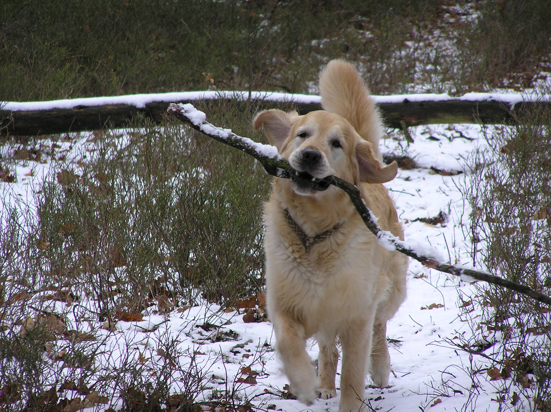 Sneeuw met Pasen!