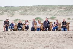 Het hele nest met eigenaren