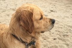 Wat gebeurd daar?